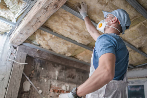 Best DIY Insulation Kits and Guidance in Azle, TX