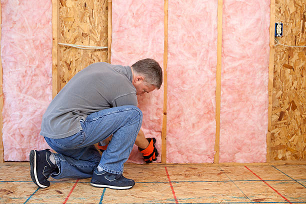 Best Eco-Friendly Insulation in Azle, TX
