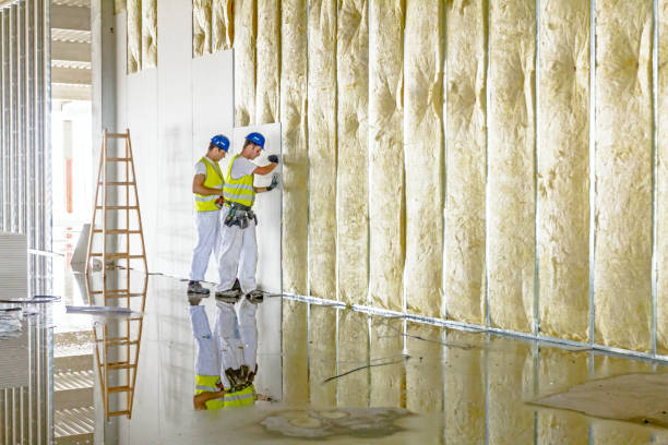 Types of Insulation We Offer in Azle, TX